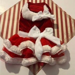 Small dog harness christmas holiday dress